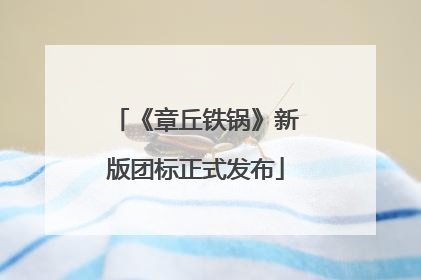 《章丘铁锅》新版团标正式发布