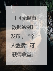 《无锡市数据条例》发布，“个人数据”可获得收益