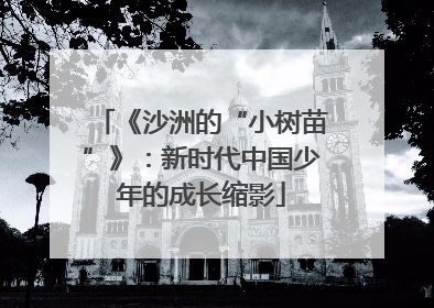《沙洲的“小树苗”》：新时代中国少年的成长缩影