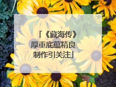 《藏海传》厚重底蕴精良制作引关注