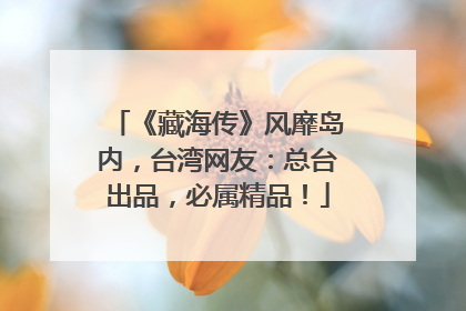 《藏海传》风靡岛内，台湾网友：总台出品，必属精品！