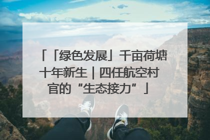 「绿色发展」千亩荷塘 十年新生｜四任航空村官的“生态接力”