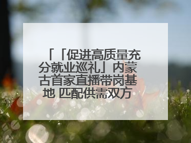 「促进高质量充分就业巡礼」内蒙古首家直播带岗基地 匹配供需双方 促进上岗就业