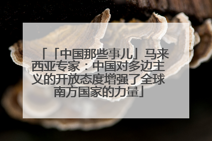 「中国那些事儿」马来西亚专家：中国对多边主义的开放态度增强了全球南方国家的力量