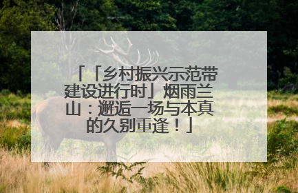 「乡村振兴示范带建设进行时」烟雨兰山：邂逅一场与本真的久别重逢！