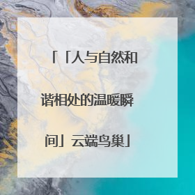 「人与自然和谐相处的温暖瞬间」云端鸟巢