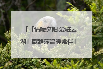 「情暖夕阳.爱驻云湖」欧路莎温暖常伴