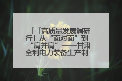 「高质量发展调研行」从“面对面”到“肩并肩”——甘肃全利电力装备生产制造项目一线见闻