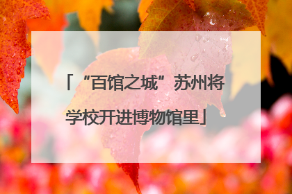 “百馆之城”苏州将学校开进博物馆里