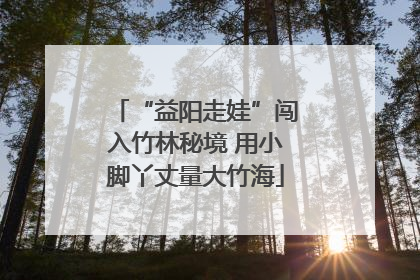 “益阳走娃”闯入竹林秘境 用小脚丫丈量大竹海