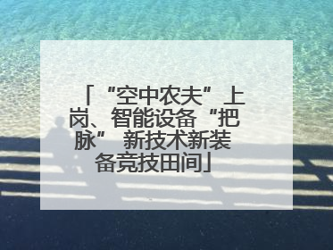 “空中农夫”上岗、智能设备“把脉” 新技术新装备竞技田间