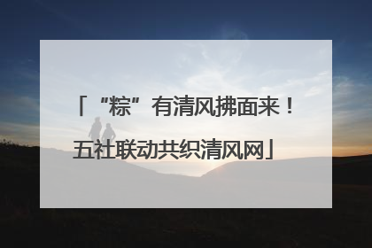 “粽”有清风拂面来！五社联动共织清风网