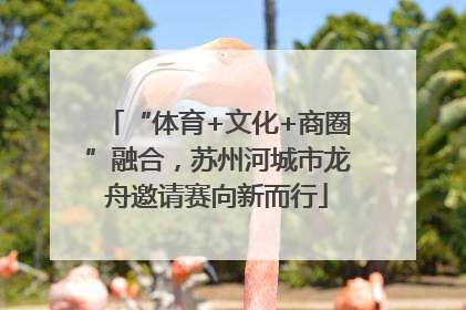 “体育+文化+商圈”融合，苏州河城市龙舟邀请赛向新而行