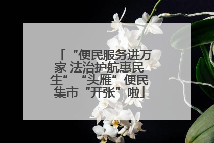 “便民服务进万家 法治护航惠民生”“头雁”便民集市“开张”啦
