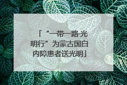 “一带一路·光明行”为蒙古国白内障患者送光明