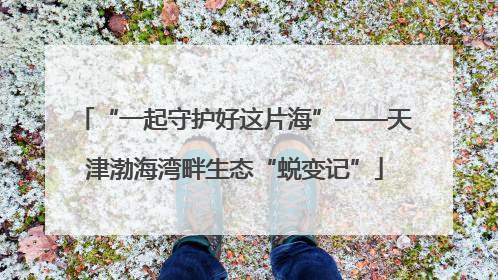 “一起守护好这片海”——天津渤海湾畔生态“蜕变记”