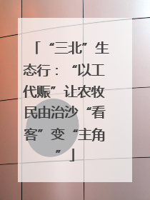 “三北”生态行：“以工代赈”让农牧民由治沙“看客”变“主角”