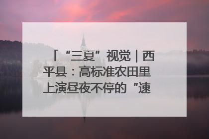 “三夏”视觉｜西平县：高标准农田里上演昼夜不停的“速度与激情”
