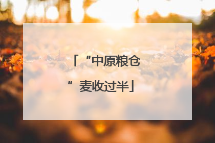 “中原粮仓”麦收过半