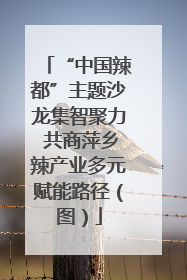 “中国辣都”主题沙龙集智聚力 共商萍乡辣产业多元赋能路径（图）