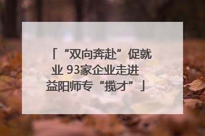 “双向奔赴”促就业 93家企业走进益阳师专“揽才”