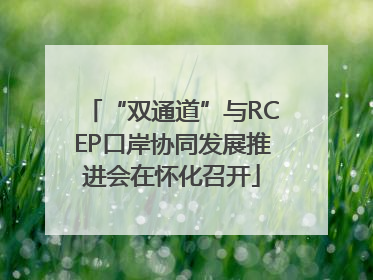 “双通道”与RCEP口岸协同发展推进会在怀化召开