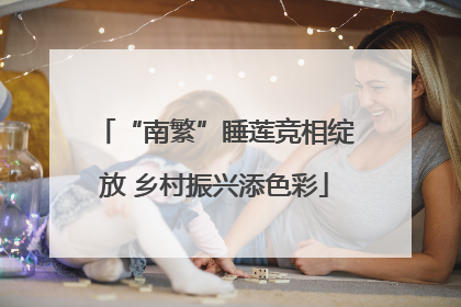 “南繁”睡莲竞相绽放 乡村振兴添色彩