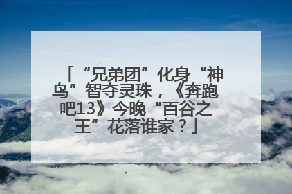 “兄弟团”化身“神鸟”智夺灵珠，《奔跑吧13》今晚“百谷之王”花落谁家？