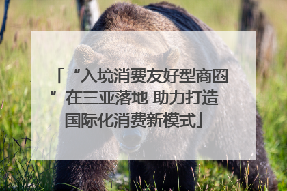 “入境消费友好型商圈”在三亚落地 助力打造国际化消费新模式