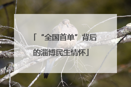 “全国首单”背后的淄博民生情怀