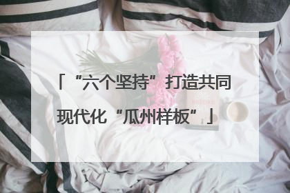 “六个坚持”打造共同现代化“瓜州样板”