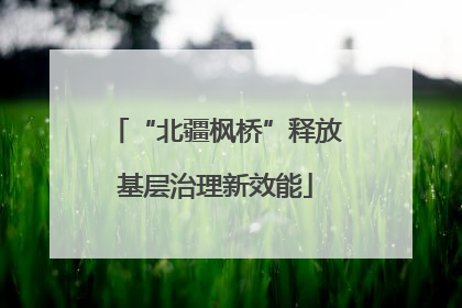 “北疆枫桥”释放基层治理新效能