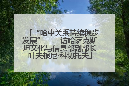 “哈中关系持续稳步发展”——访哈萨克斯坦文化与信息部副部长叶夫根尼·科切托夫
