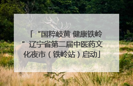 “国粹岐黄 健康铁岭”辽宁省第二届中医药文化夜市（铁岭站）启动