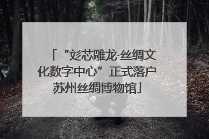 “彣芯雕龙·丝绸文化数字中心”正式落户苏州丝绸博物馆