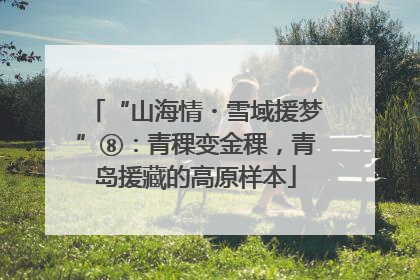 “山海情・雪域援梦”⑧：青稞变金稞，青岛援藏的高原样本
