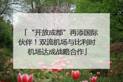 “开放成都”再添国际伙伴！双流机场与比利时机场达成战略合作