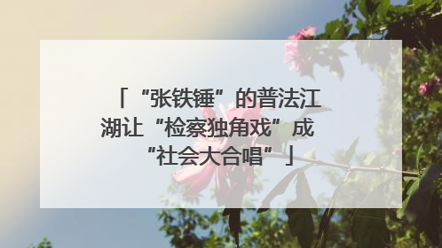 “张铁锤”的普法江湖让“检察独角戏”成“社会大合唱”