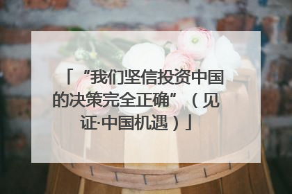“我们坚信投资中国的决策完全正确”（见证·中国机遇）