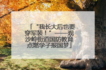 “我长大后也要穿军装！”——观沙岭街道国防教育点燃学子报国梦