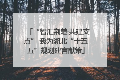 “智汇荆楚·共建支点” 我为湖北“十五五”规划建言献策
