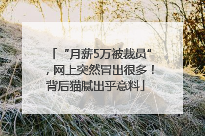 “月薪5万被裁员”，网上突然冒出很多！背后猫腻出乎意料
