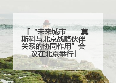 “未来城市——莫斯科与北京战略伙伴关系的协同作用”会议在北京举行