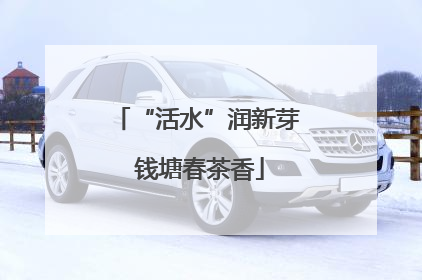 “活水”润新芽 钱塘春茶香
