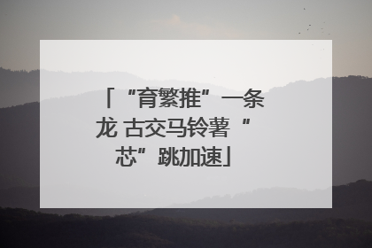 “育繁推”一条龙 古交马铃薯“芯”跳加速