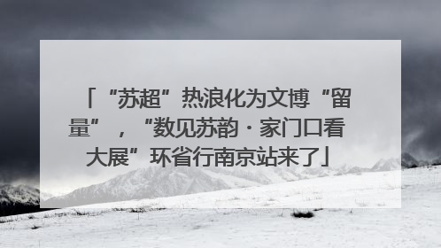 “苏超”热浪化为文博“留量”，“数见苏韵・家门口看大展”环省行南京站来了