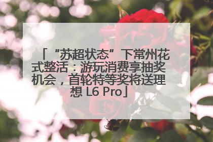 “苏超状态”下常州花式整活：游玩消费享抽奖机会，首轮特等奖将送理想 L6 Pro