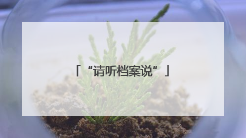 “请听档案说”