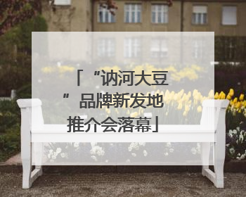 “讷河大豆”品牌新发地推介会落幕
