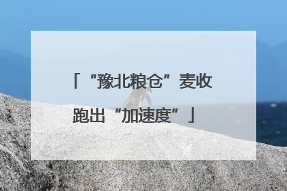 “豫北粮仓”麦收跑出“加速度”